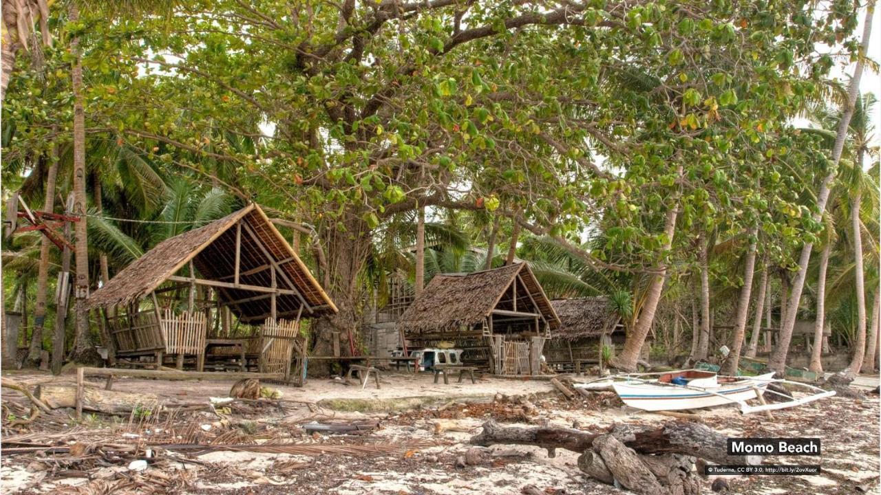 Zen Rooms Greenfields Inn Bohol Panglao Εξωτερικό φωτογραφία